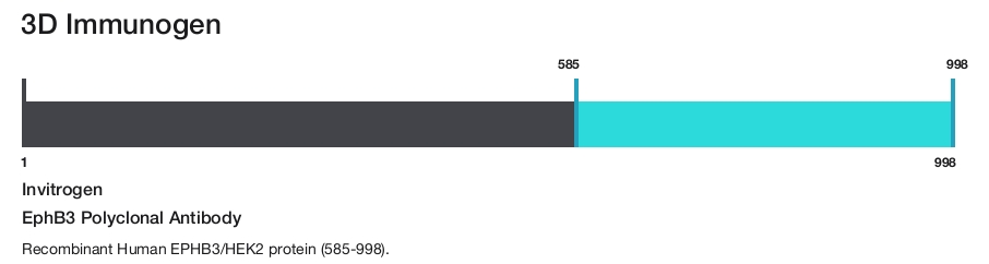 EphB3 Polyclonal Antibody