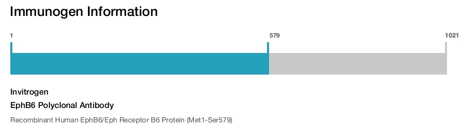 EphB6 Polyclonal Antibody