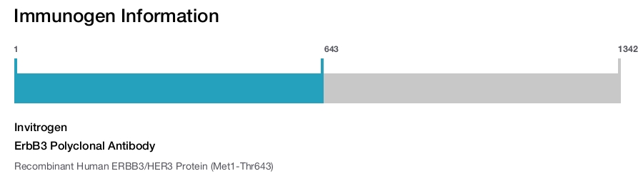 ErbB3 Polyclonal Antibody