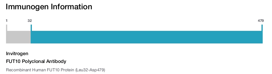 FUT10 Polyclonal Antibody