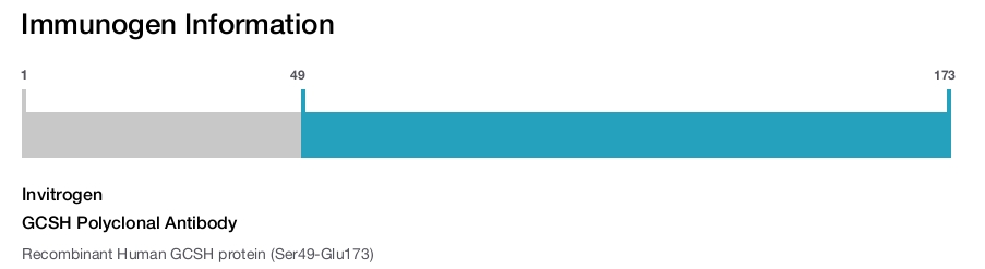 GCSH Polyclonal Antibody