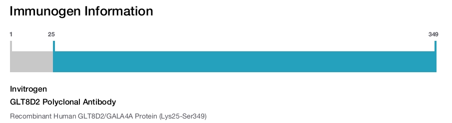 GLT8D2 Polyclonal Antibody