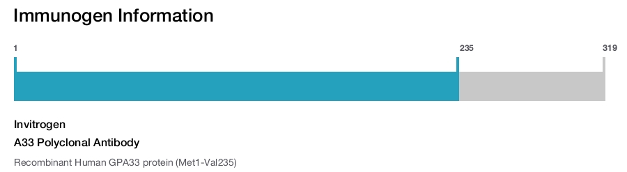 A33 Polyclonal Antibody