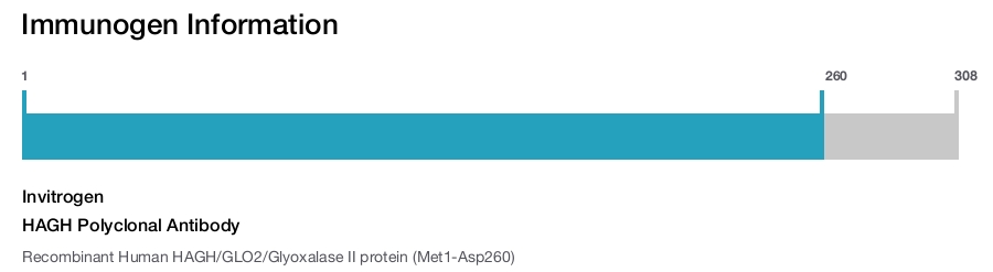 HAGH Polyclonal Antibody