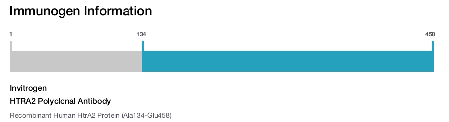 HTRA2 Polyclonal Antibody