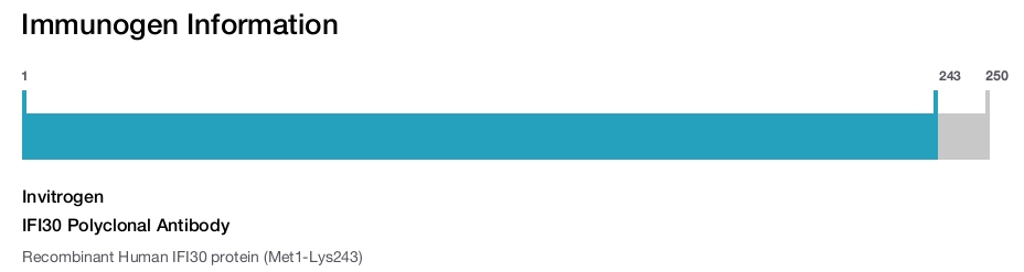 IFI30 Polyclonal Antibody