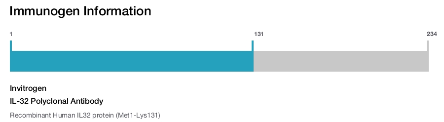 IL-32 Polyclonal Antibody