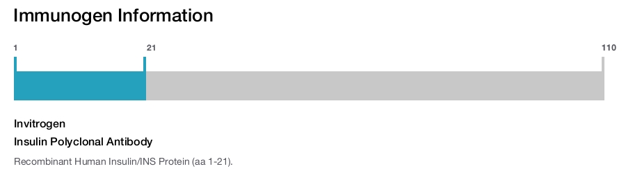 Insulin Polyclonal Antibody