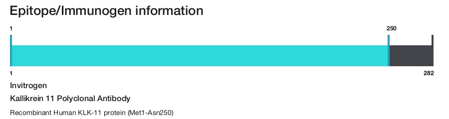 Kallikrein 11 Polyclonal Antibody