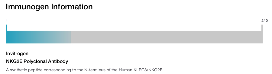 NKG2E Polyclonal Antibody