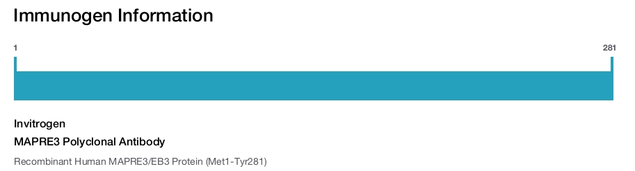MAPRE3 Polyclonal Antibody