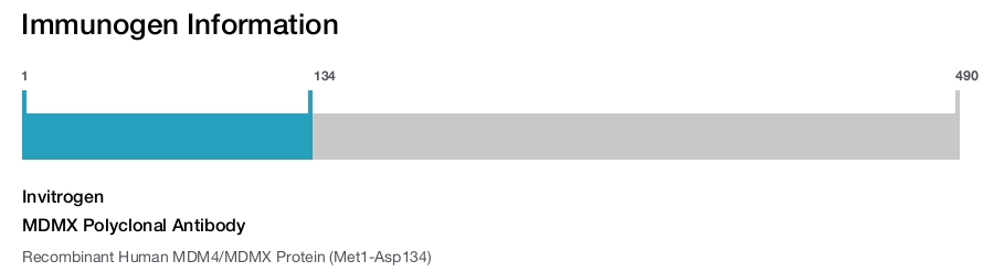 MDMX Polyclonal Antibody