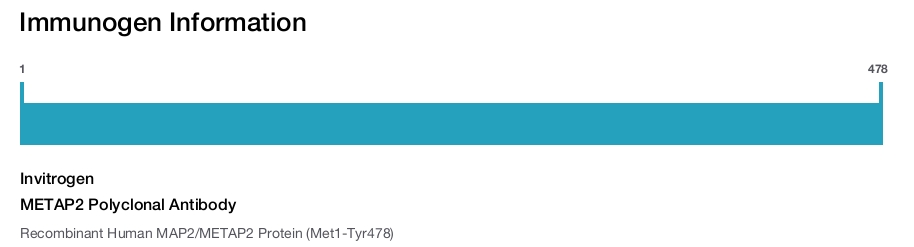 METAP2 Polyclonal Antibody