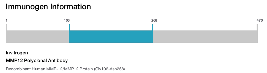 MMP12 Polyclonal Antibody