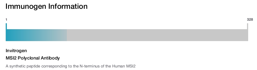 MSI2 Polyclonal Antibody