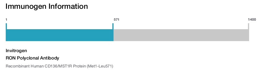 RON Polyclonal Antibody