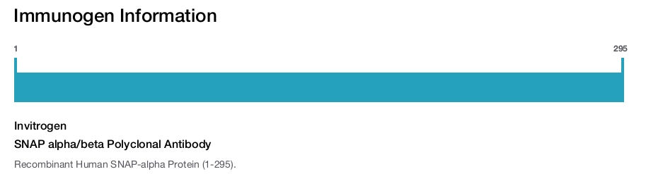 SNAP alpha/beta Polyclonal Antibody