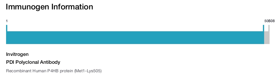PDI Polyclonal Antibody