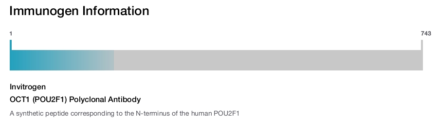 OCT1 (POU2F1) Polyclonal Antibody