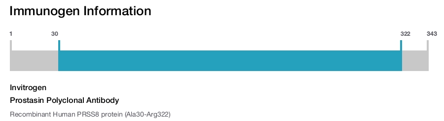 Prostasin Polyclonal Antibody
