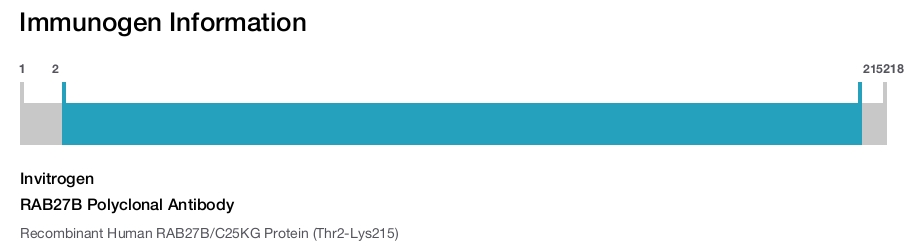 RAB27B Polyclonal Antibody