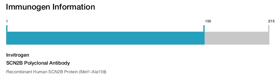 SCN2B Polyclonal Antibody