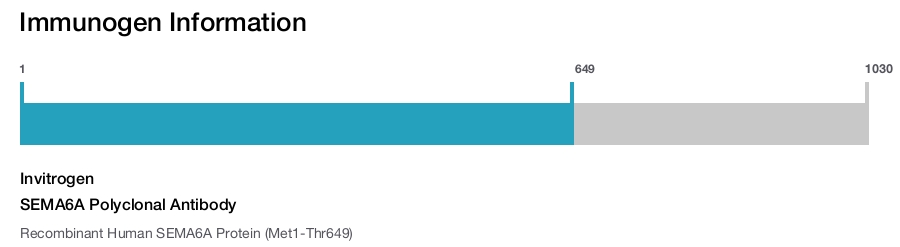 SEMA6A Polyclonal Antibody