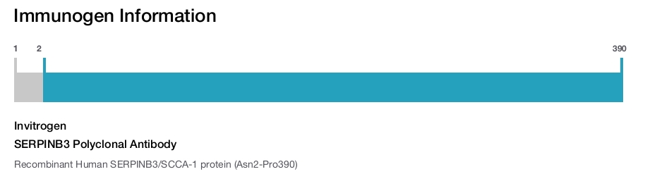 SERPINB3 Polyclonal Antibody