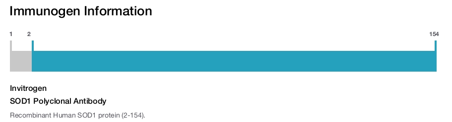 SOD1 Polyclonal Antibody