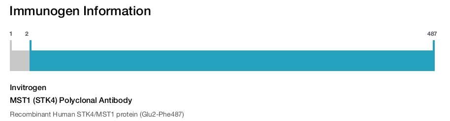 MST1 (STK4) Polyclonal Antibody