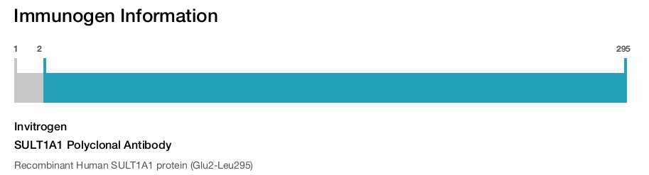 SULT1A1 Polyclonal Antibody