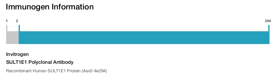 SULT1E1 Polyclonal Antibody