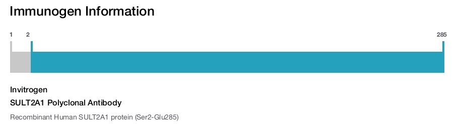 SULT2A1 Polyclonal Antibody