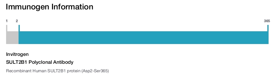 SULT2B1 Polyclonal Antibody