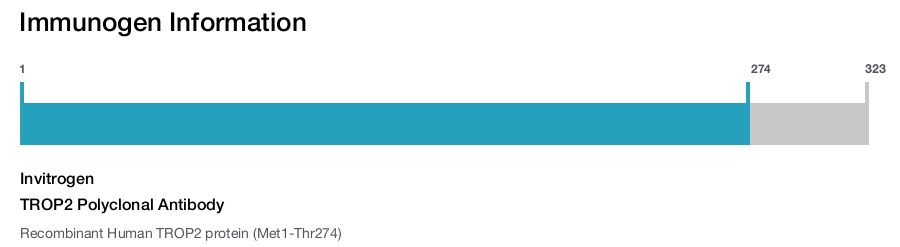 TROP2 Polyclonal Antibody