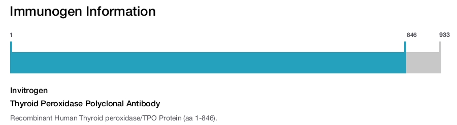 Thyroid Peroxidase Polyclonal Antibody