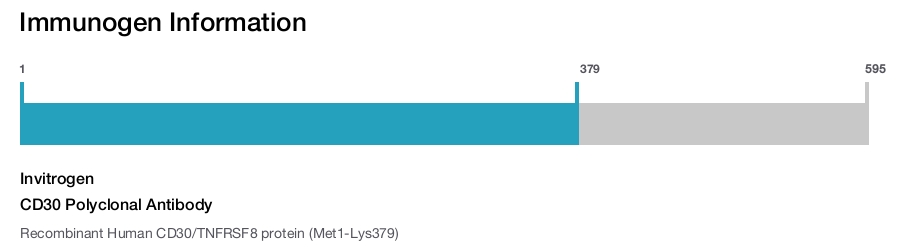 CD30 Polyclonal Antibody