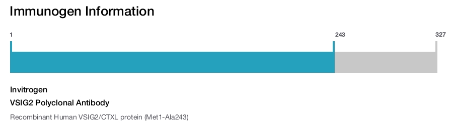 VSIG2 Polyclonal Antibody