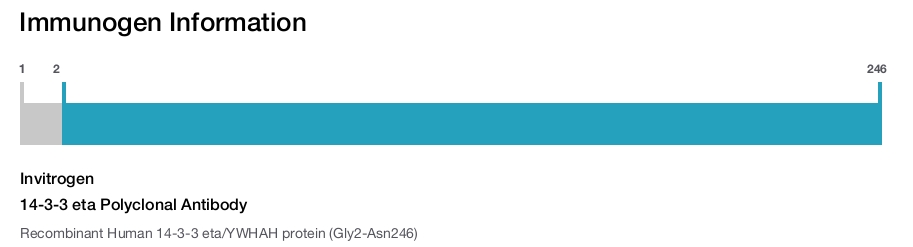14-3-3 eta Polyclonal Antibody
