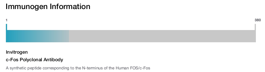 c-Fos Polyclonal Antibody