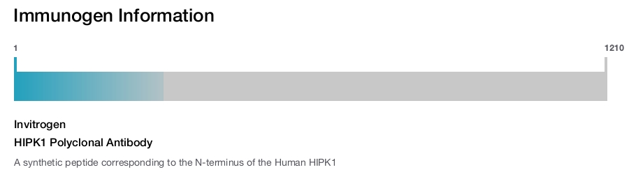 HIPK1 Polyclonal Antibody
