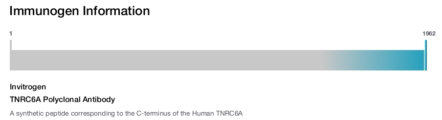 TNRC6A Polyclonal Antibody