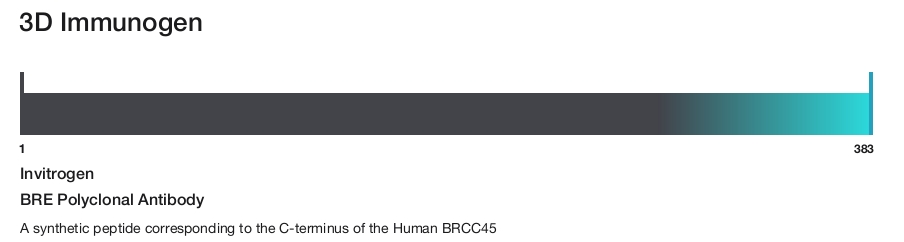 BRE Polyclonal Antibody