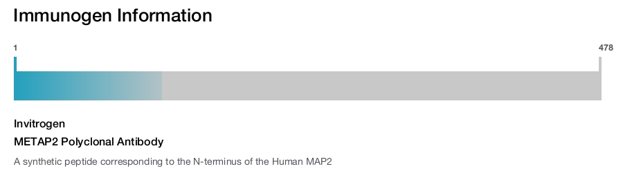 METAP2 Polyclonal Antibody