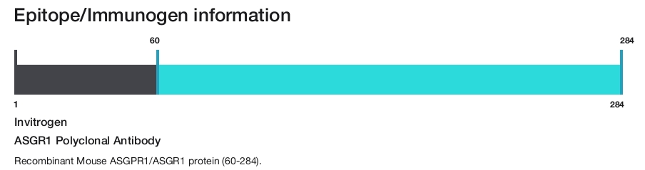 ASGR1 Polyclonal Antibody