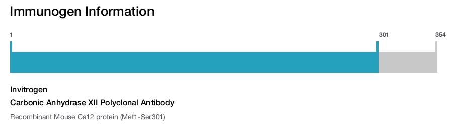 Carbonic Anhydrase XII Polyclonal Antibody