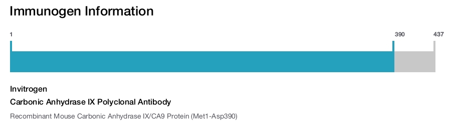 Carbonic Anhydrase IX Polyclonal Antibody