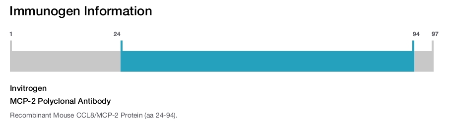 MCP-2 Polyclonal Antibody