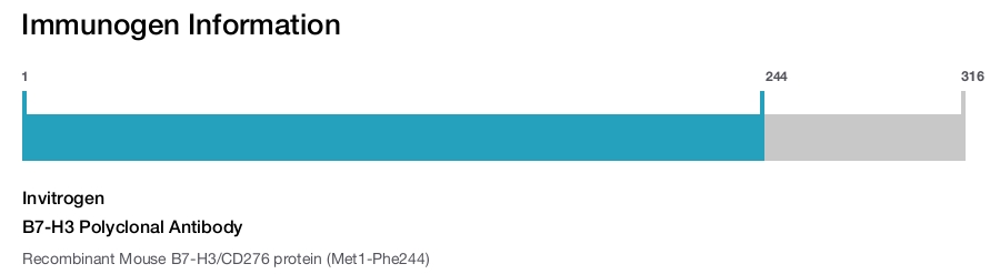 B7-H3 Polyclonal Antibody