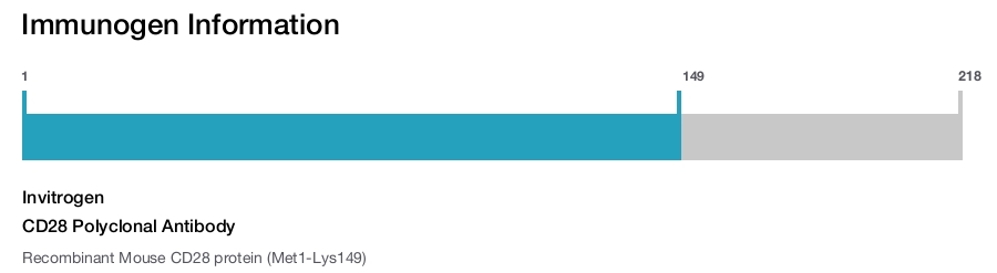 CD28 Polyclonal Antibody